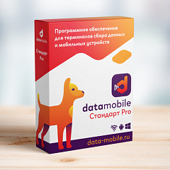 ПО DataMobile, версия Стандарт Pro в Астрахани