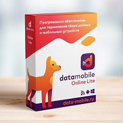 ПО DataMobile, версия Online Lite в Астрахани